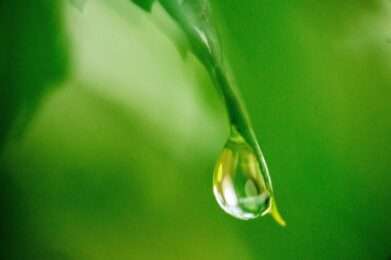 Drop of water