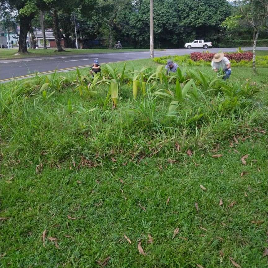 Mantenimiento del diseño paisajístico Glorieta Vanguardia