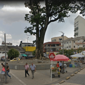 Siembra de Reforestación parque Carlos Marx