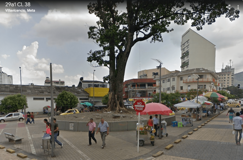 Siembra de Reforestación parque Carlos Marx