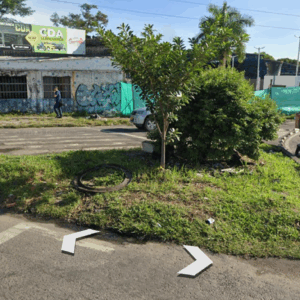 Mantenimiento diseño paisajístico triangulo frente a piel canela