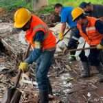 Con jornada de rehabilitación ambiental se previene el peligro aviario del aeropuerto vanguardia