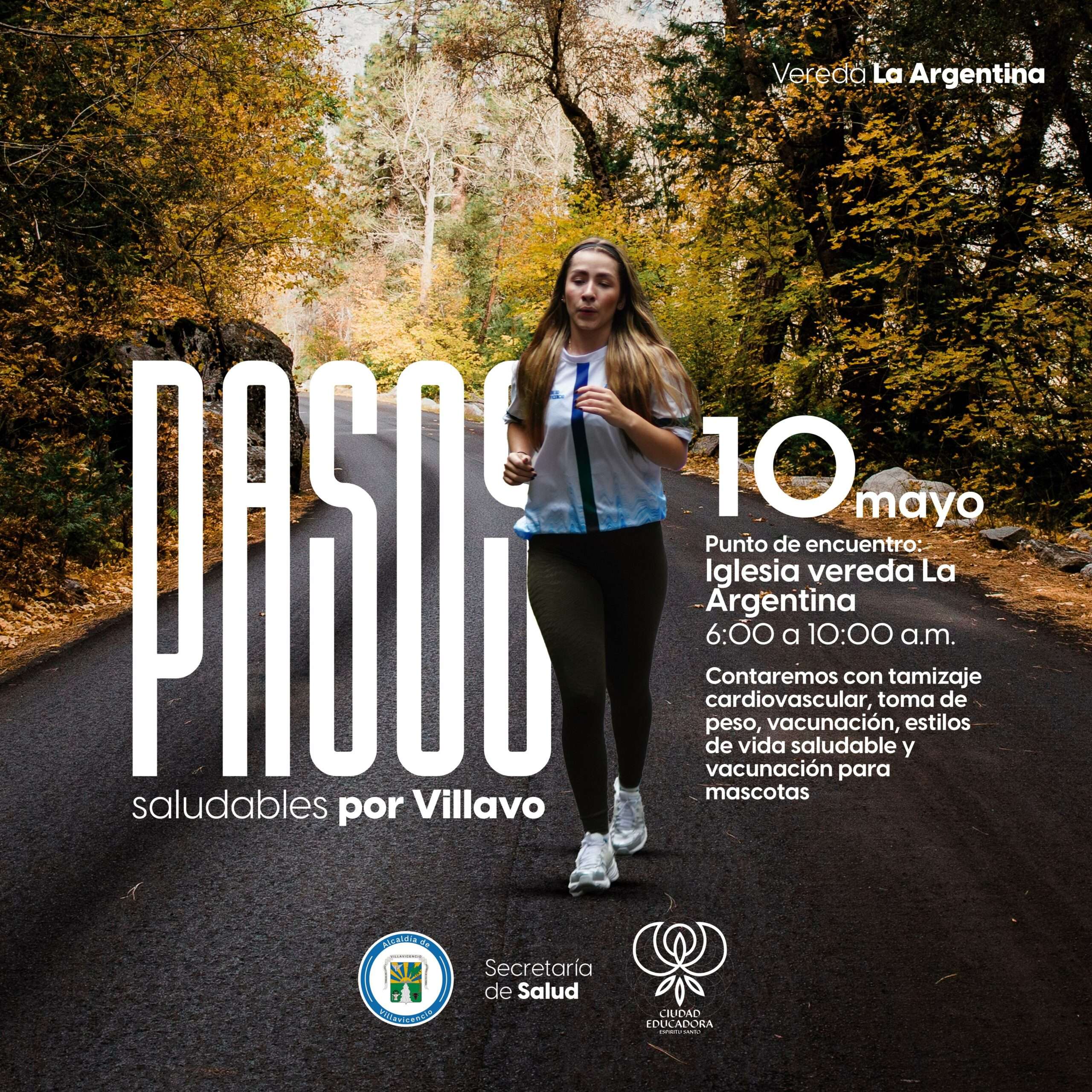 Pasos Saludables por Villavo