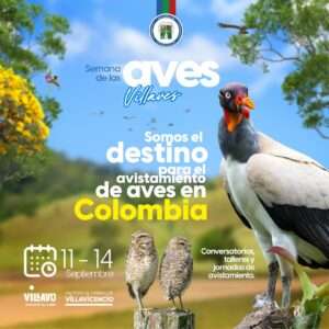Semana de las aves - VILLAVES