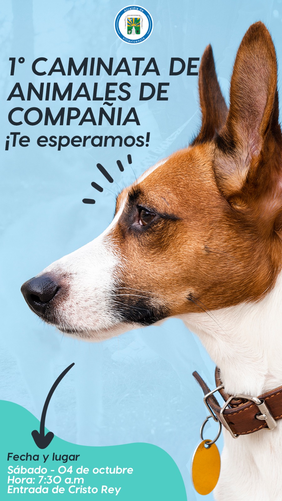 Primera Caminata de Animales de Compañía