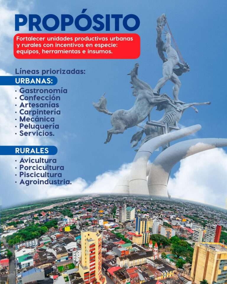 WhatsApp Image 2026-02-19 at 11.35.40 AM