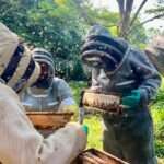 Extensionistas se capacitan en apicultura para beneficiar a pequeños y medianos productores de Villavicencio