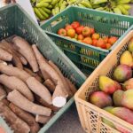 Productores de Villavicencio se toman los libertadores con el mercado campesino y feria empresarial