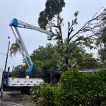 Rápida atención permitió controlar emergencia por caída de árbol en la sede educativa Pío XII Rápida atención permitió controlar emergencia por caída de árbol en la sede educativa Pío XII